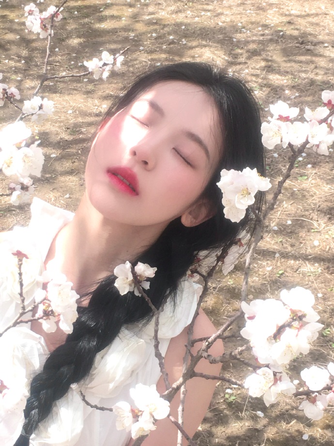 白蛇：缘起